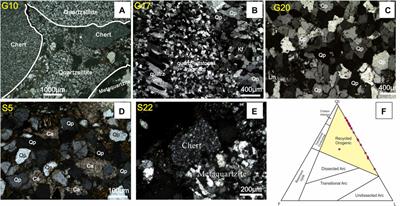 Provenance of the lower jurassic quartz-rich conglomerate in northwestern sichuan basin and its link with the pre-collisional unroofing history of the north longmen shan thrust belt, NE tibetan plateau margin
